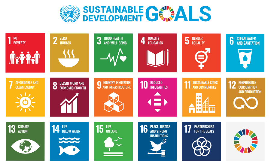 The Sustainable Development Goals in Nigeria